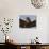 Close-Up of a Buzzard (Buteo Buteo), Captive, Cumbria, England, United Kingdom-Steve & Ann Toon-Photographic Print displayed on a wall