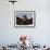 Close-Up of a Buzzard (Buteo Buteo), Captive, Cumbria, England, United Kingdom-Steve & Ann Toon-Framed Photographic Print displayed on a wall