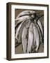 Close-Up of a Catch of Trout-Eliot Elisofon-Framed Photographic Print