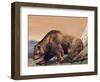 Close-Up of a Cave Bear (Ursus Spelaeus)-null-Framed Giclee Print