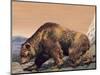 Close-Up of a Cave Bear (Ursus Spelaeus)-null-Mounted Giclee Print