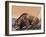 Close-Up of a Cave Bear (Ursus Spelaeus)-null-Framed Giclee Print