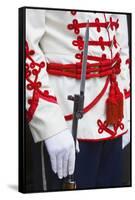 Close-Up of a Ceremonial Guard at the President's Building-Jon Hicks-Framed Stretched Canvas