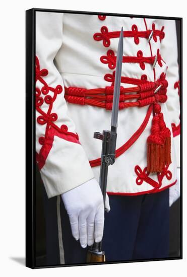 Close-Up of a Ceremonial Guard at the President's Building-Jon Hicks-Framed Stretched Canvas