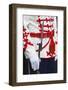 Close-Up of a Ceremonial Guard at the President's Building-Jon Hicks-Framed Photographic Print