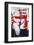 Close-Up of a Ceremonial Guard at the President's Building-Jon Hicks-Framed Photographic Print