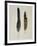 Close-Up of a Cinereous Vulture's Feather with an Owl's Feather-null-Framed Giclee Print