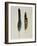 Close-Up of a Cinereous Vulture's Feather with an Owl's Feather-null-Framed Giclee Print