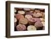 Close up of a Cork Wine with Different Variation of Wine Color-pink candy-Framed Photographic Print