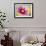 Close-up of a Cosmos Flower-null-Framed Photographic Print displayed on a wall