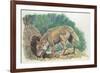 Close-Up of a Coyote Standing Near its Den (Canis Latrans)-null-Framed Giclee Print