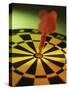 Close-up of a Dart in the Bull's-Eye of a Dartboard-null-Stretched Canvas