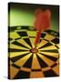 Close-up of a Dart in the Bull's-Eye of a Dartboard-null-Stretched Canvas