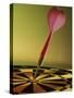 Close-up of a Dart in the Bull's-Eye of a Dartboard-null-Stretched Canvas