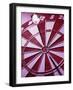 Close-up of a Dart in the Bull's-Eye of a Dartboard-null-Framed Photographic Print