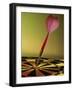 Close-up of a Dart in the Bull's-Eye of a Dartboard-null-Framed Photographic Print