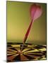 Close-up of a Dart in the Bull's-Eye of a Dartboard-null-Mounted Photographic Print