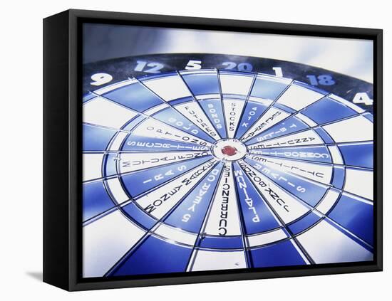 Close-up of a Dartboard-null-Framed Stretched Canvas