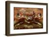 Close-Up of a European Crab Face Showing its Eyes (Cancer Pagurus), Atlantic Ocean.-Reinhard Dirscherl-Framed Photographic Print