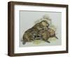 Close-Up of a Female Beaver Lying with its Young (Castor Fiber)-null-Framed Giclee Print