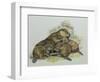 Close-Up of a Female Beaver Lying with its Young (Castor Fiber)-null-Framed Giclee Print