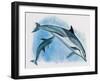 Close-Up of a Female Dolphin Swimming Underwater with a Calf (Delphinus Delphis)-null-Framed Giclee Print