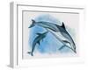 Close-Up of a Female Dolphin Swimming Underwater with a Calf (Delphinus Delphis)-null-Framed Giclee Print