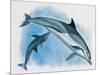 Close-Up of a Female Dolphin Swimming Underwater with a Calf (Delphinus Delphis)-null-Mounted Giclee Print