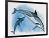 Close-Up of a Female Dolphin Swimming Underwater with a Calf (Delphinus Delphis)-null-Framed Giclee Print