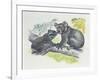 Close-Up of a Female Koala with a Joey-null-Framed Giclee Print