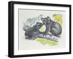 Close-Up of a Female Koala with a Joey-null-Framed Giclee Print