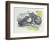 Close-Up of a Female Koala with a Joey-null-Framed Giclee Print