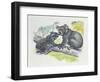 Close-Up of a Female Koala with a Joey-null-Framed Giclee Print