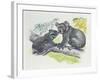 Close-Up of a Female Koala with a Joey-null-Framed Giclee Print