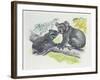 Close-Up of a Female Koala with a Joey-null-Framed Giclee Print