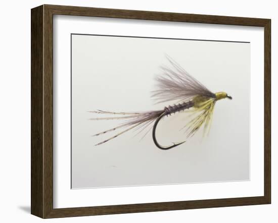 Close-up of a Fishing Lure-null-Framed Photographic Print