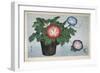 Close-Up of a Flower Pot-null-Framed Giclee Print