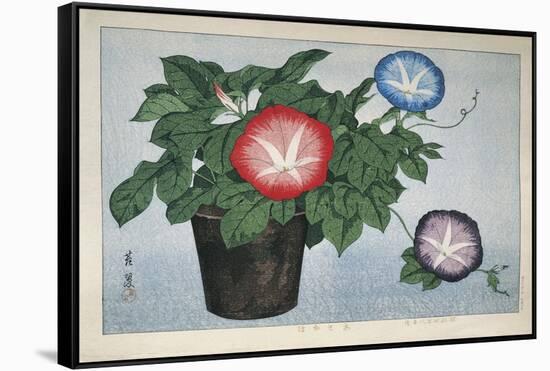 Close-Up of a Flower Pot-null-Framed Stretched Canvas