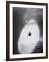 Close-Up of A Fly & Spider in A Web-null-Framed Giclee Print