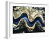 Close-Up of a Giant Clam's Mouth, Red Sea, Middle East-Gavin Hellier-Framed Photographic Print