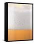 Close-up of a Glass of Lager-null-Framed Stretched Canvas