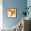 Close-up of a Goldfish Tail-Mark Mawson-Framed Photographic Print displayed on a wall