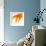 Close-up of a Goldfish Tail-Mark Mawson-Framed Photographic Print displayed on a wall