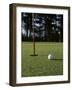 Close-up of a Golf Ball Near the Hole-null-Framed Photographic Print