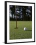 Close-up of a Golf Ball Near the Hole-null-Framed Photographic Print