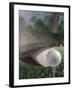 Close-up of a Golf Club Hitting a Golf Ball on a Tee-null-Framed Premium Photographic Print