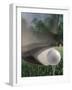 Close-up of a Golf Club Hitting a Golf Ball on a Tee-null-Framed Photographic Print