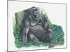 Close-Up of a Gorilla Sitting in the Forest and Eating Leaves (Gorilla Gorilla)-null-Mounted Giclee Print