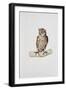 Close-Up of a Great Horned Owl Perching on a Branch (Bubo Virginianus)-null-Framed Giclee Print