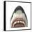 Close-Up of a Great White Shark-null-Framed Stretched Canvas